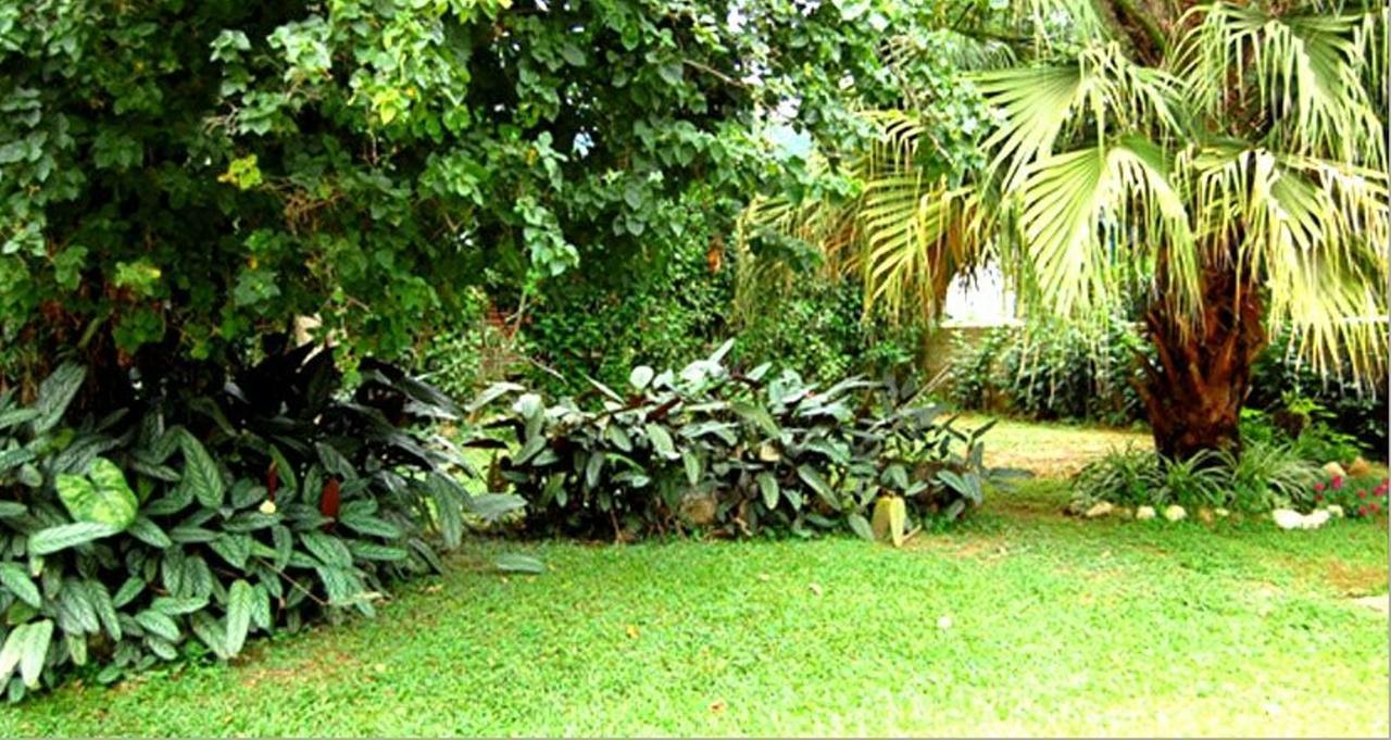 Hotel Primavera Penedo  Exterior foto